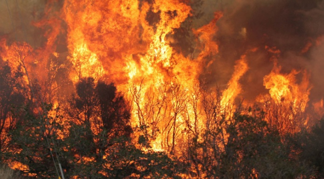 prevenzione incendi Frosinone